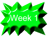 Week 1 Week One!