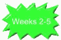 Weeks 2-5 Final Weeks