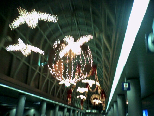 ohare-birds.jpg