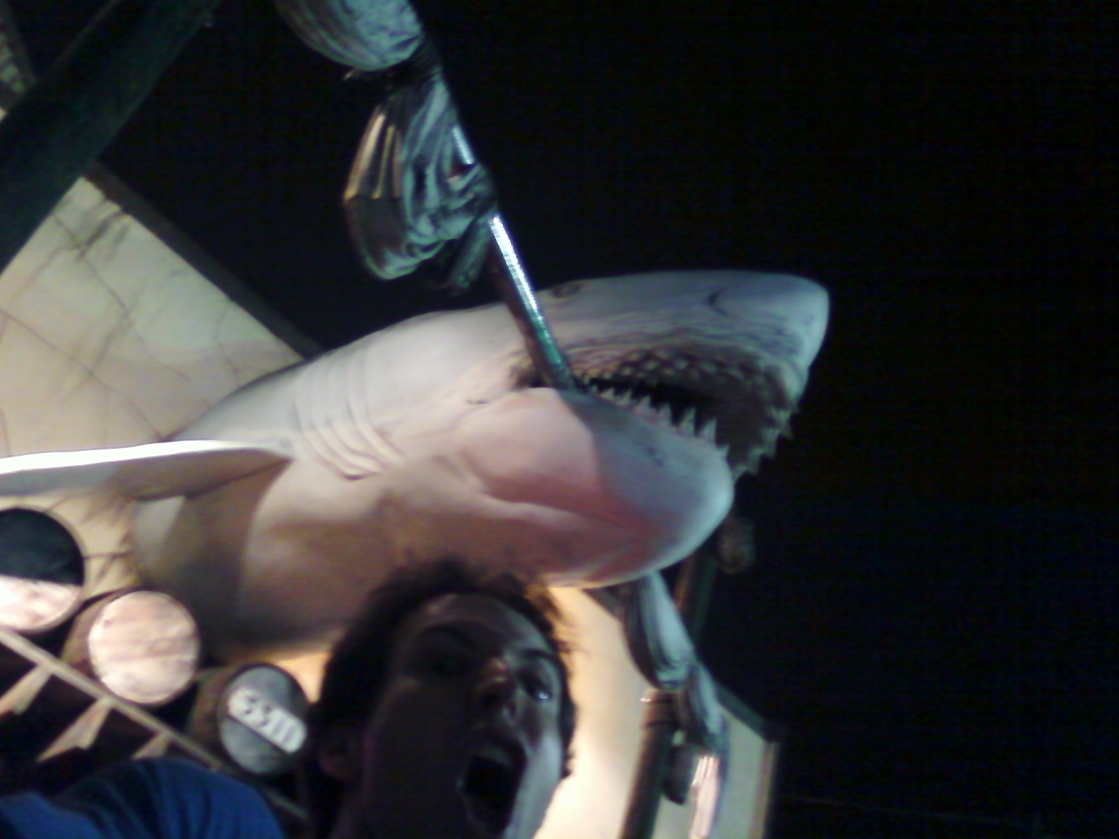 shark-oni.jpg