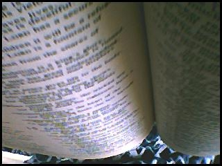 The Bible